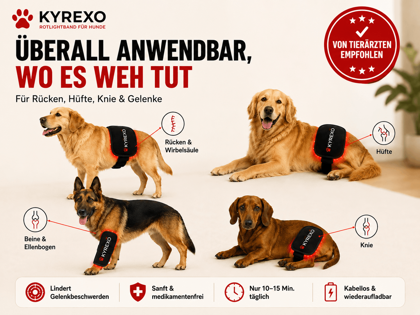KYREXO™ Rotlichtband für Hunde