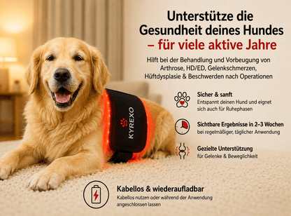 KYREXO™ Rotlichtband für Hunde