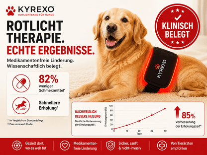 KYREXO™ Rotlichtband für Hunde