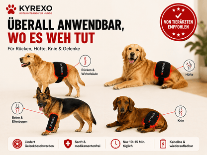 KYREXO™ Rotlichtband für Hunde